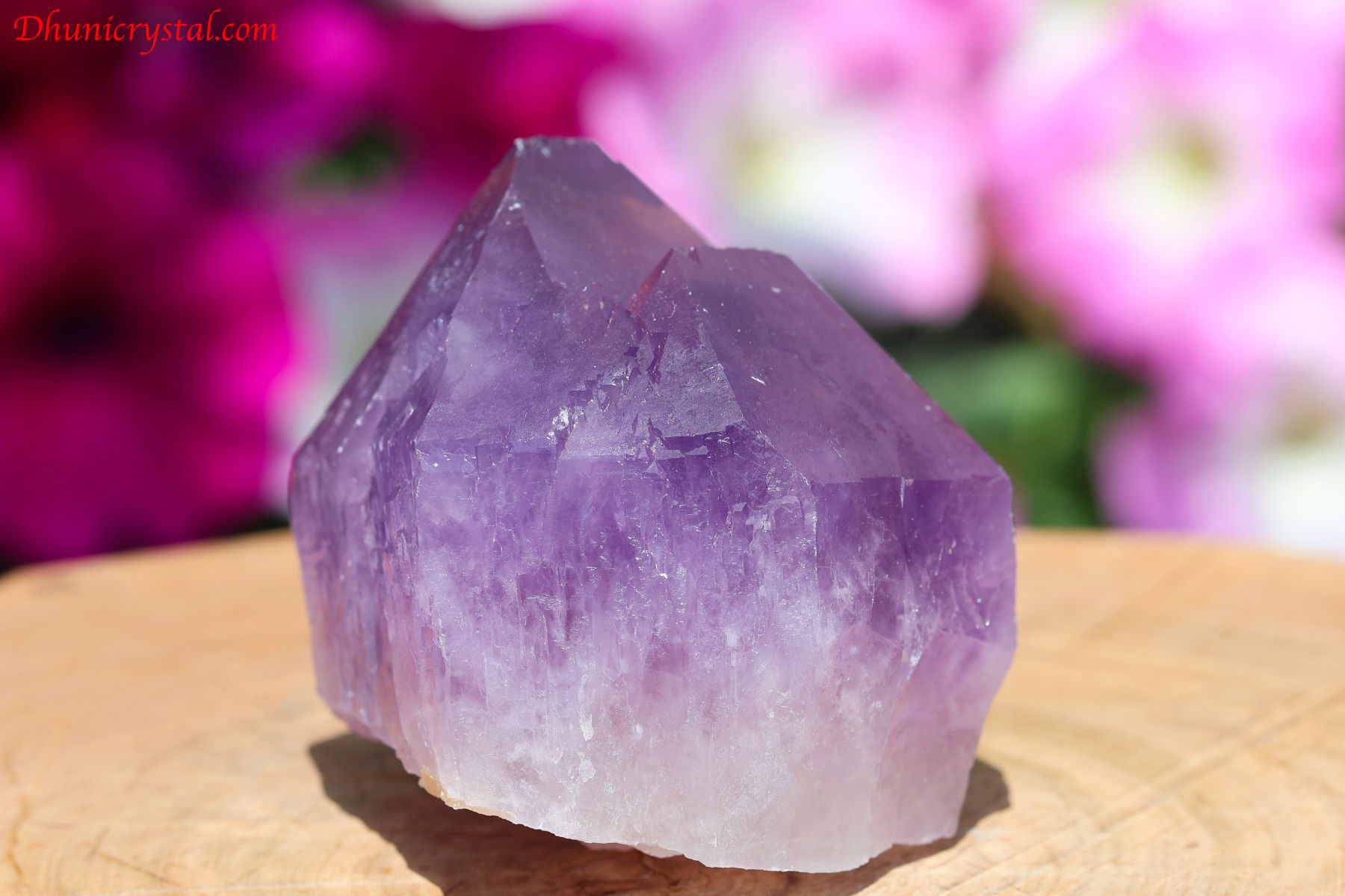 Amazon | 【hinryo】 今月の半額 AAAAA アメジスト 紫水晶 鑑別