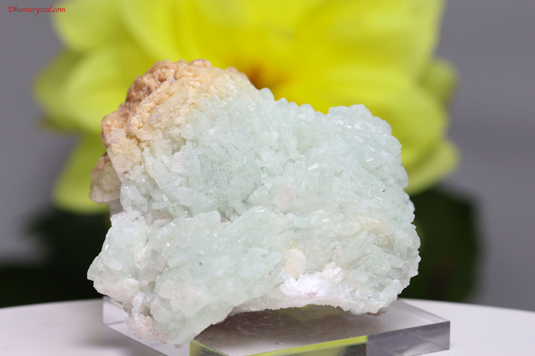 【SOLDOUT!】 プレナイト原石/葡萄石/ドゥルージータイプ(A598)