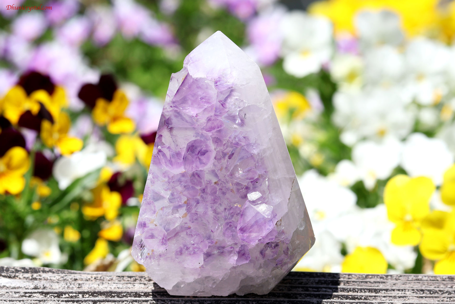 【SOLDOUT!】 可憐なアメジスト(A605)