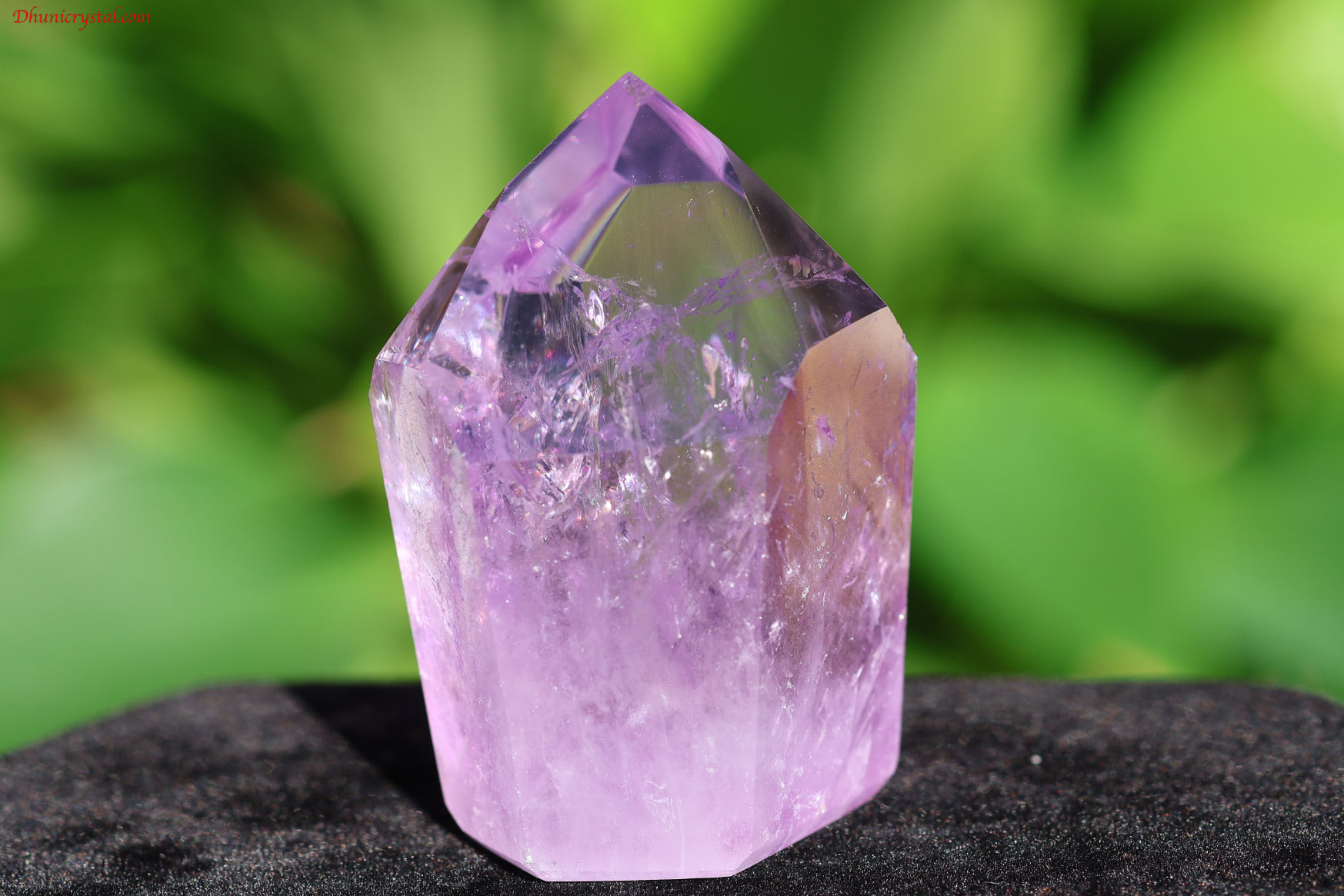 【SOLDOUT】ローズ・ド・フランス・アメジスト/虹入り(A66)