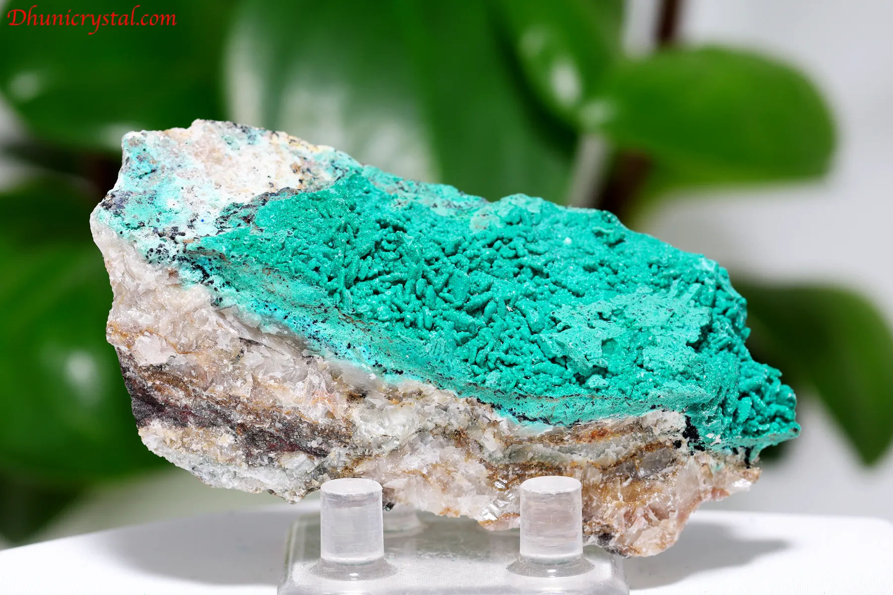 クリソコラ/原石(A795)