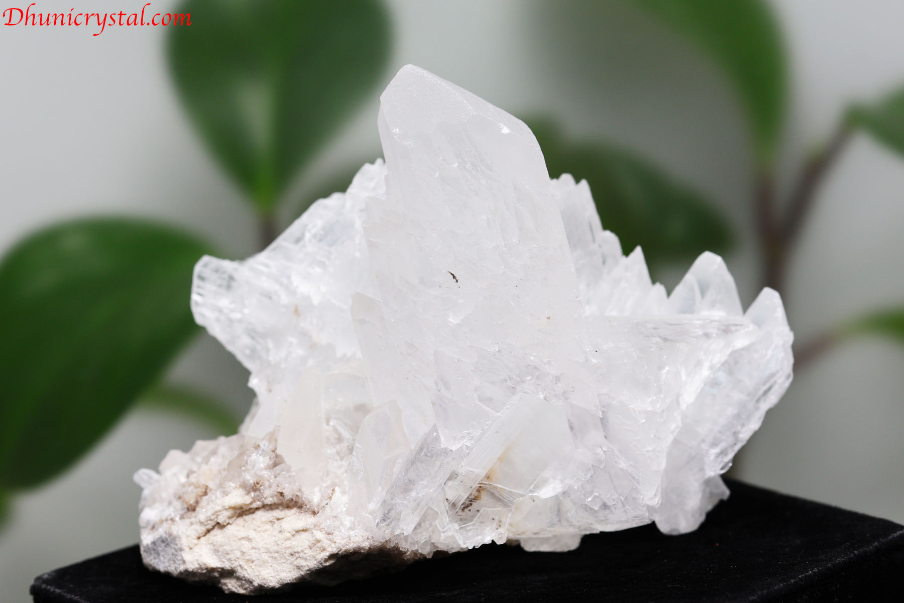 【SOLDOUT】セレナイト原石/エンジェルウイング(A845)