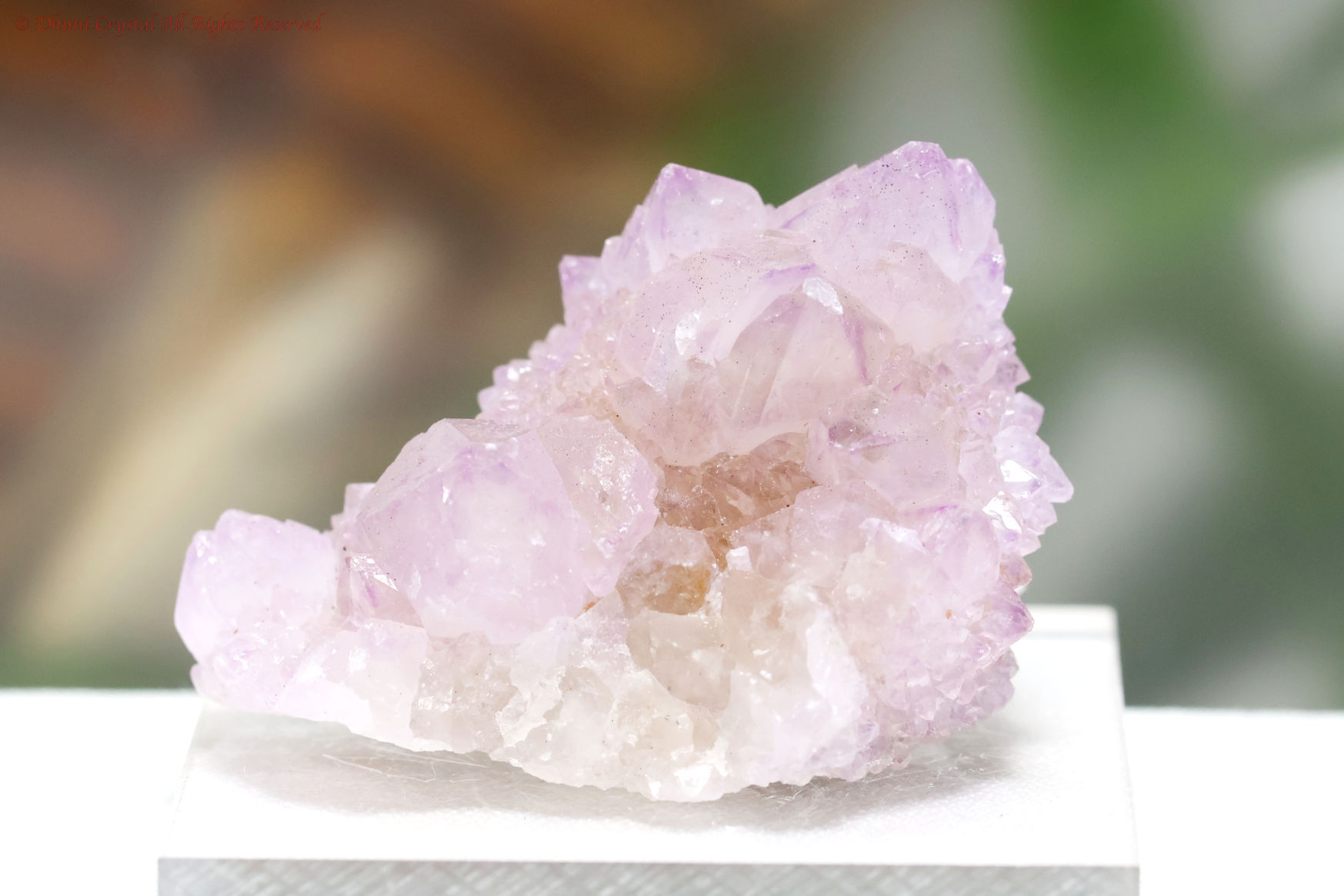 【SOLDOUT】アメジスト・スピリットクォーツ／カクタスクォーツ(A876)