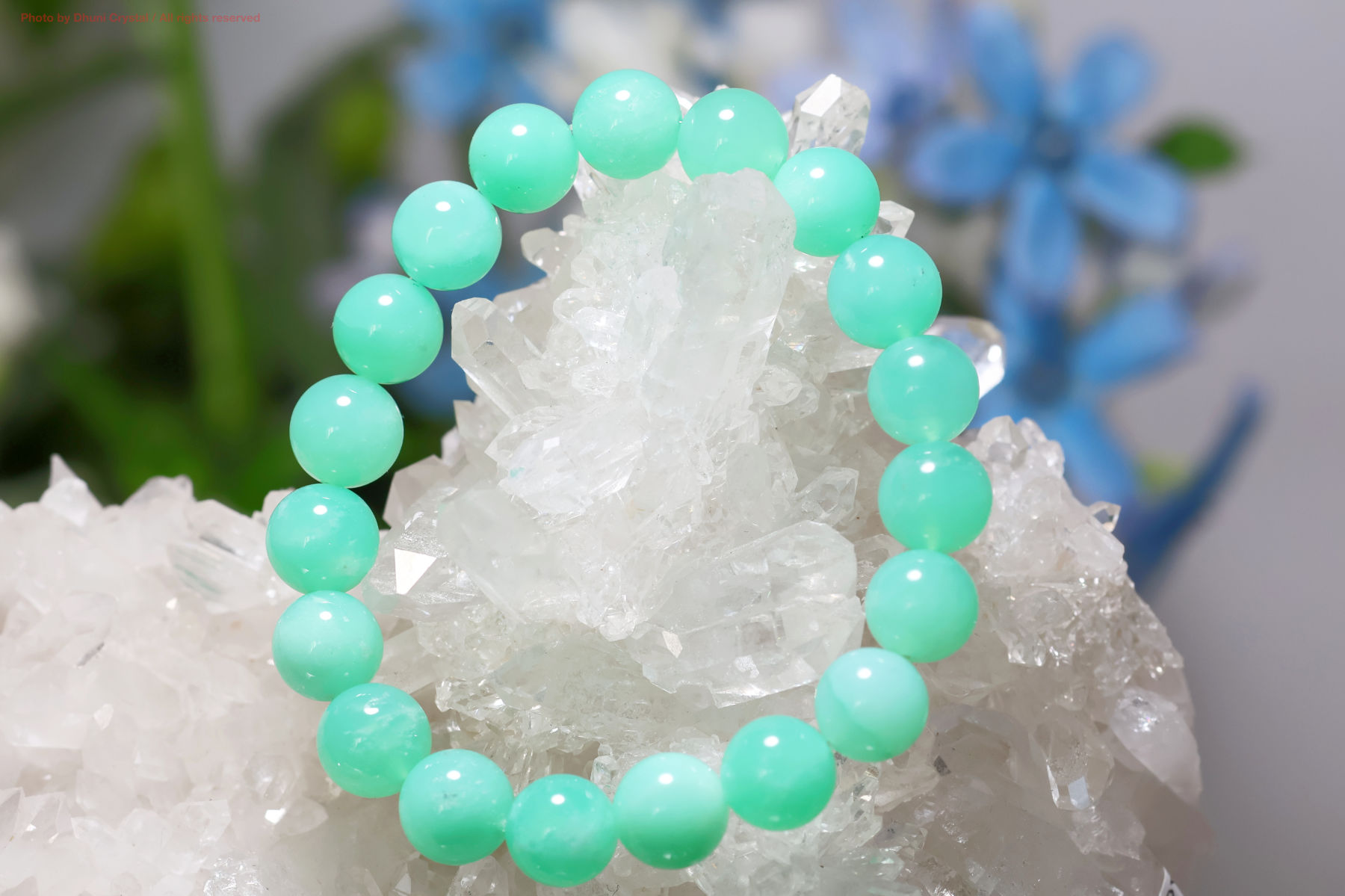 一連ブレスレット【クリソプレーズ】10mm珠/手首サイズ14.5cm~15.5cm/サイズ調整はご相談ください(FF102)