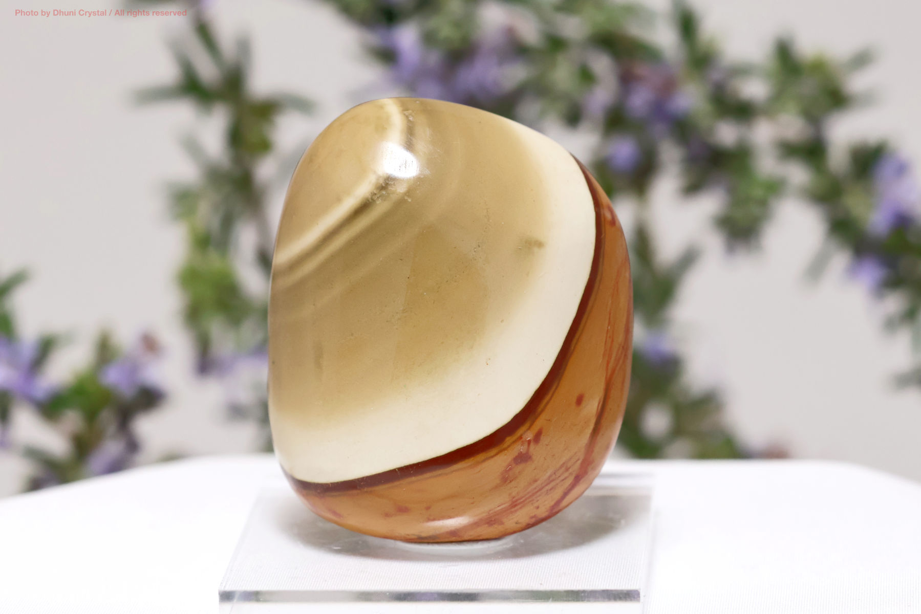 ポリクロームジャスパー（FF111）