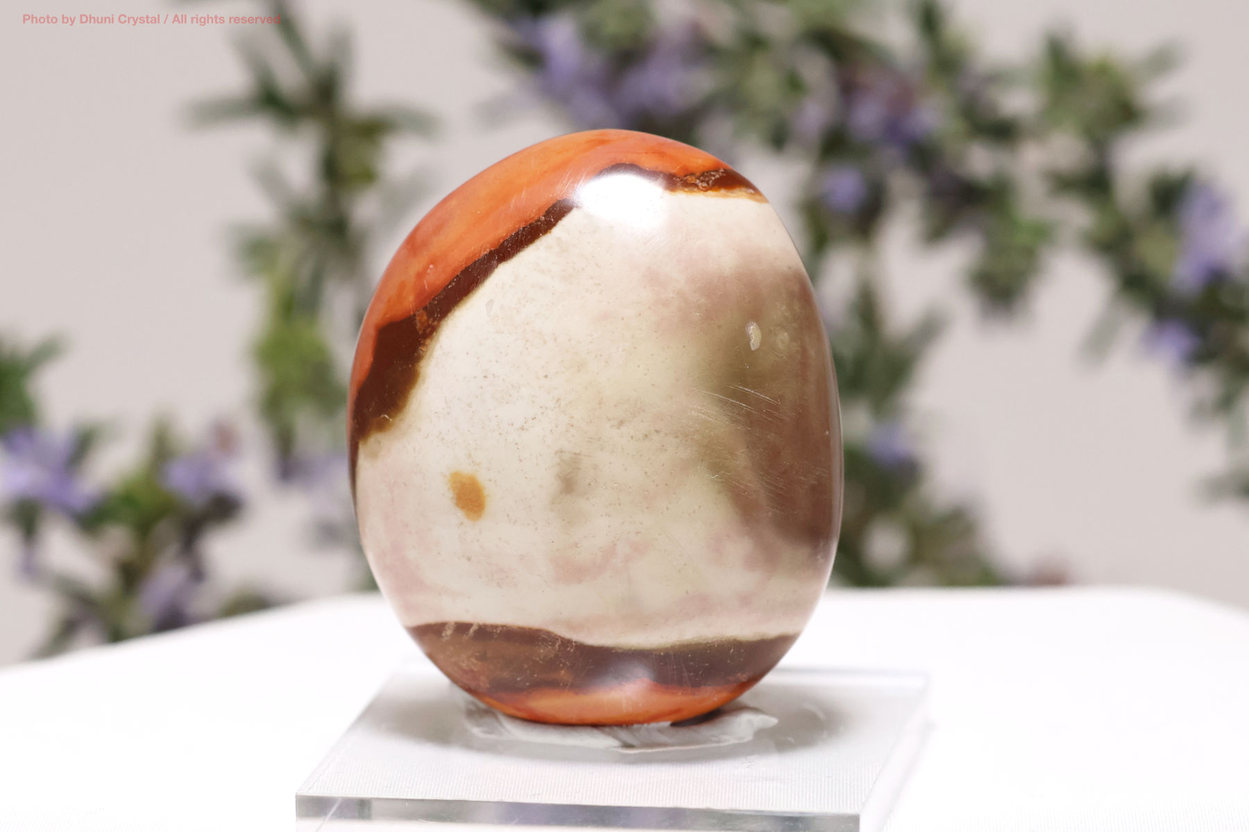 ポリクロームジャスパー（FF113）