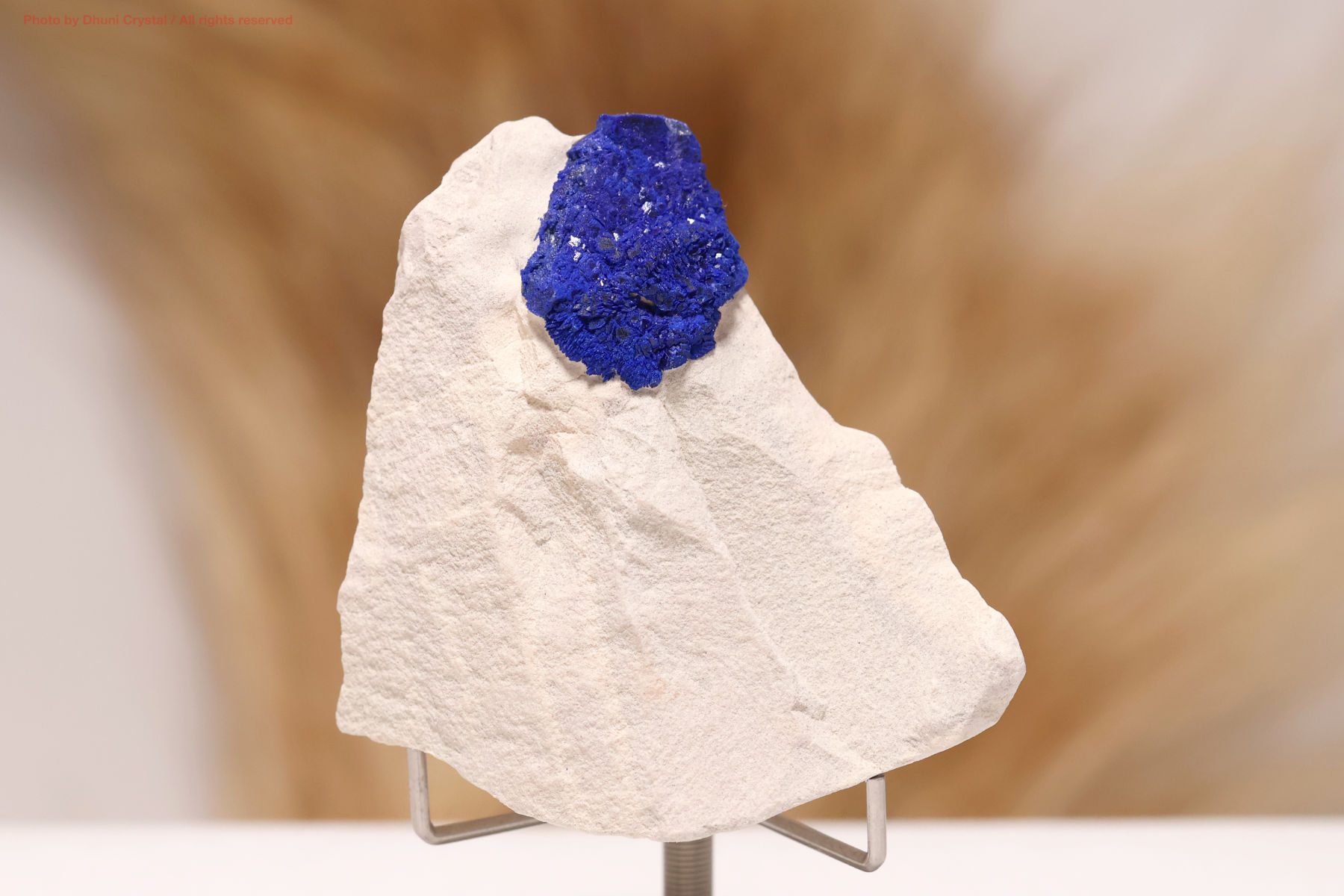 アズライト・サン（FF145）