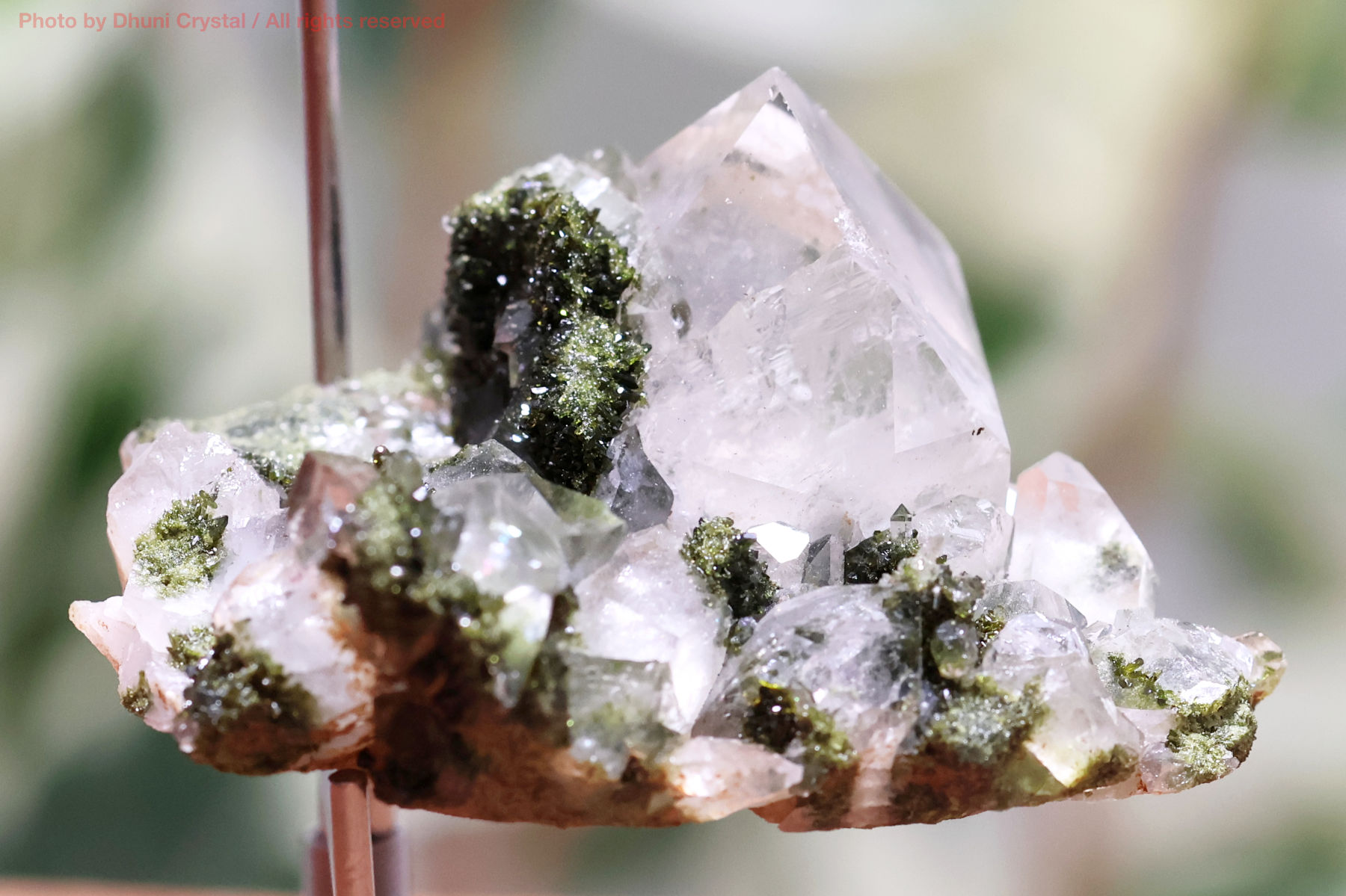 フェアリーフォレスト・クォーツ/エピドート&水晶(FF172)