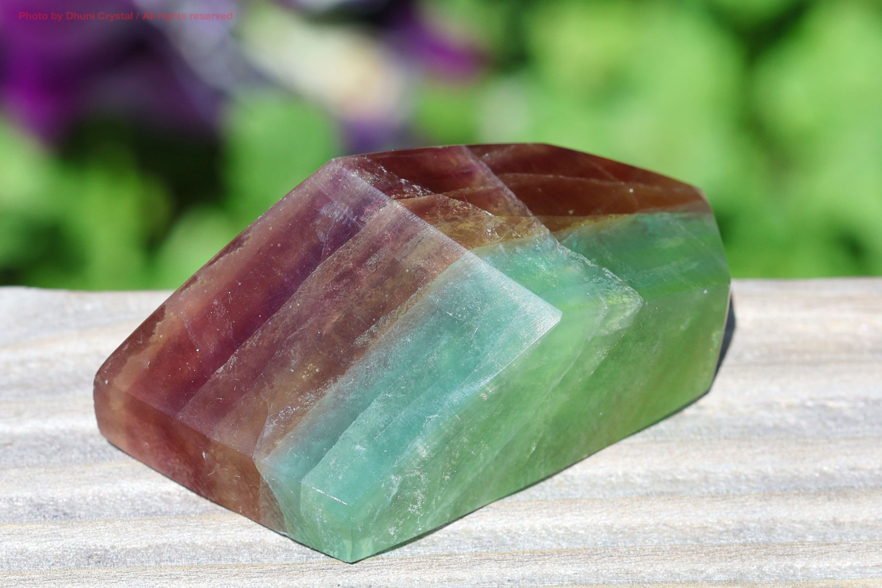 キャンディー・フローライト(FF191)