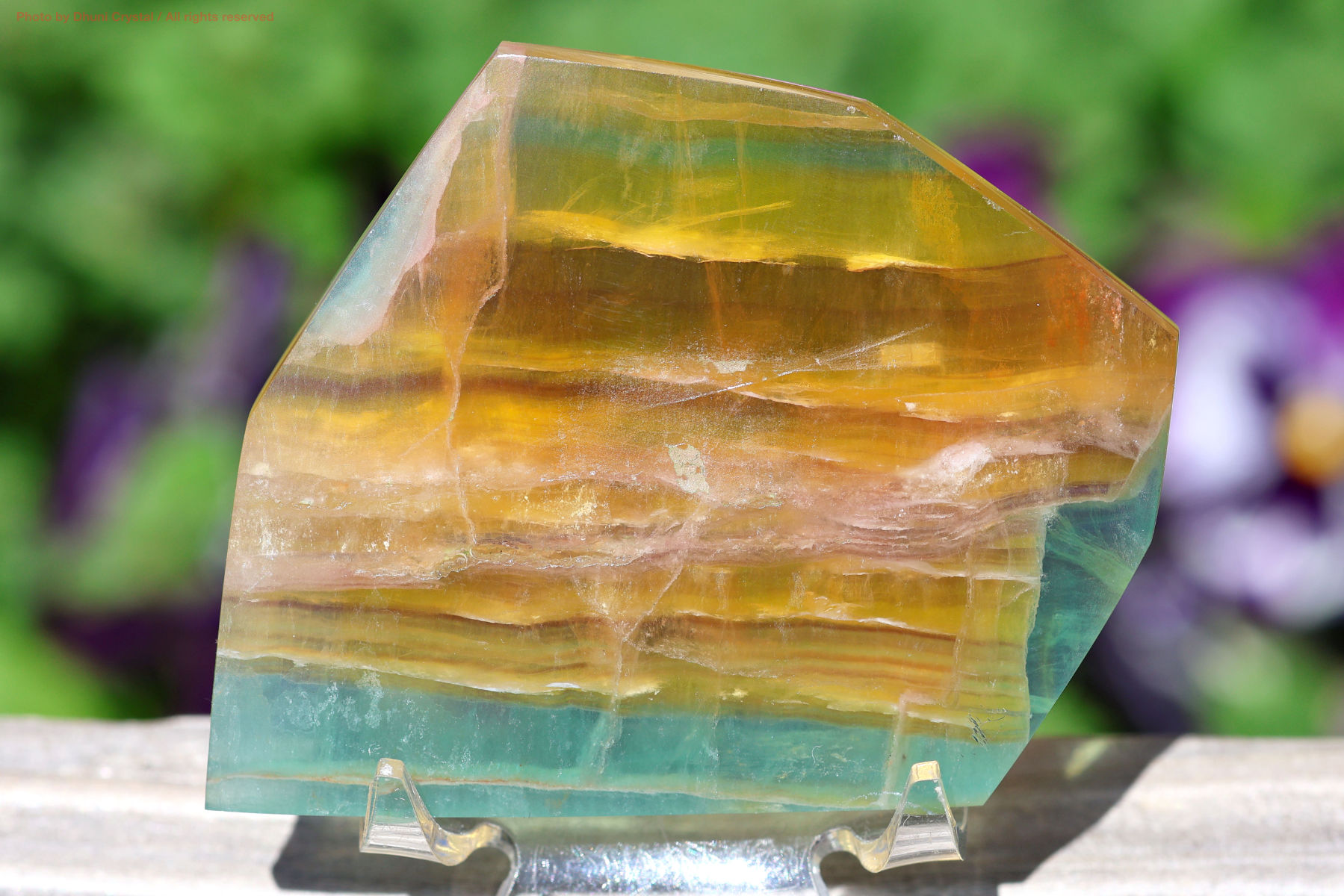 キャンディー・フローライト/スライス(FF193)