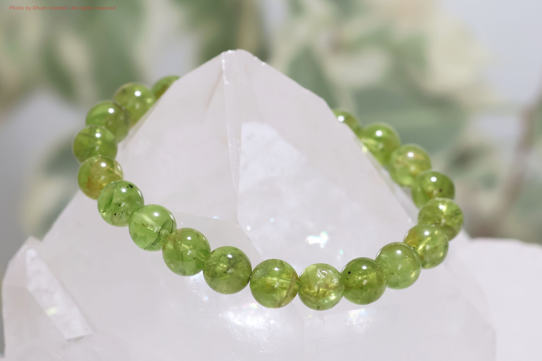 一連ブレスレット【ペリドット】8mm珠/手首サイズ14.5cm~15.5cm(FF213)