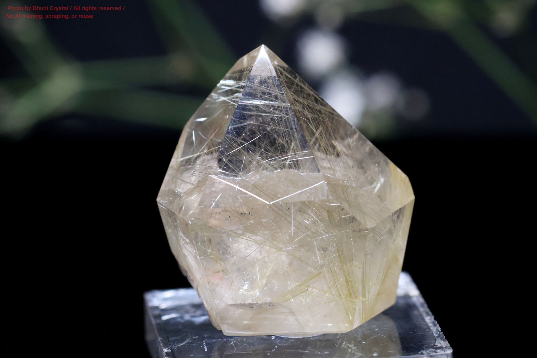 ルチルクォーツ／原石(FF256)