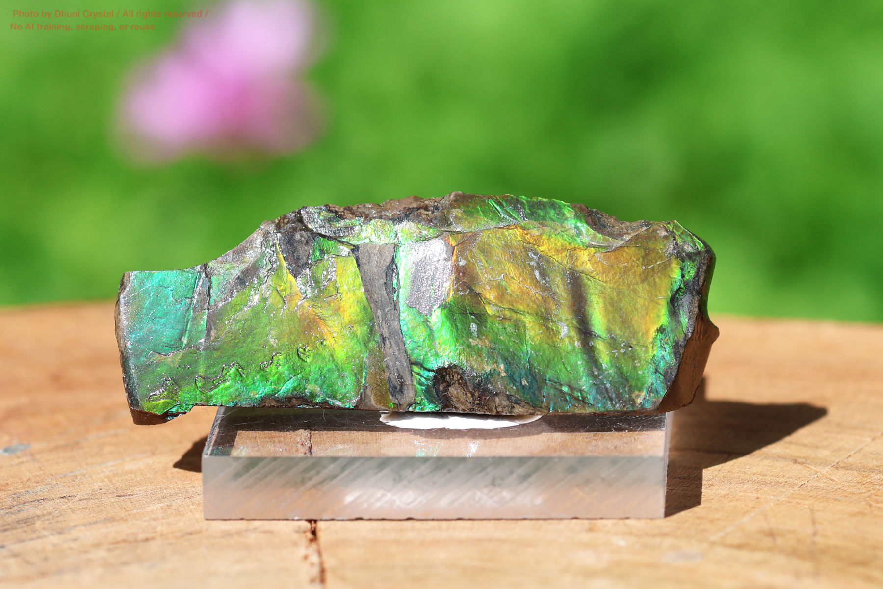 アンモライト(FF352)