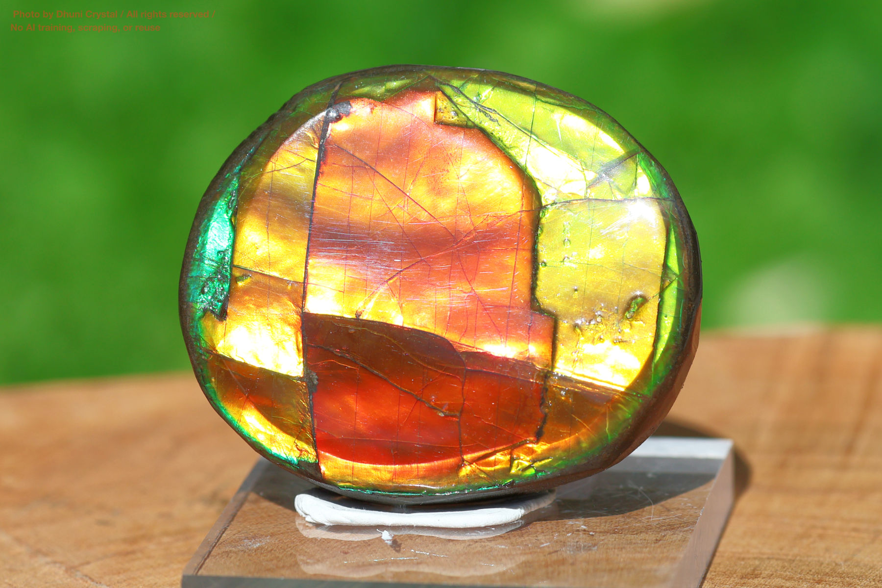 アンモライト(FF355)