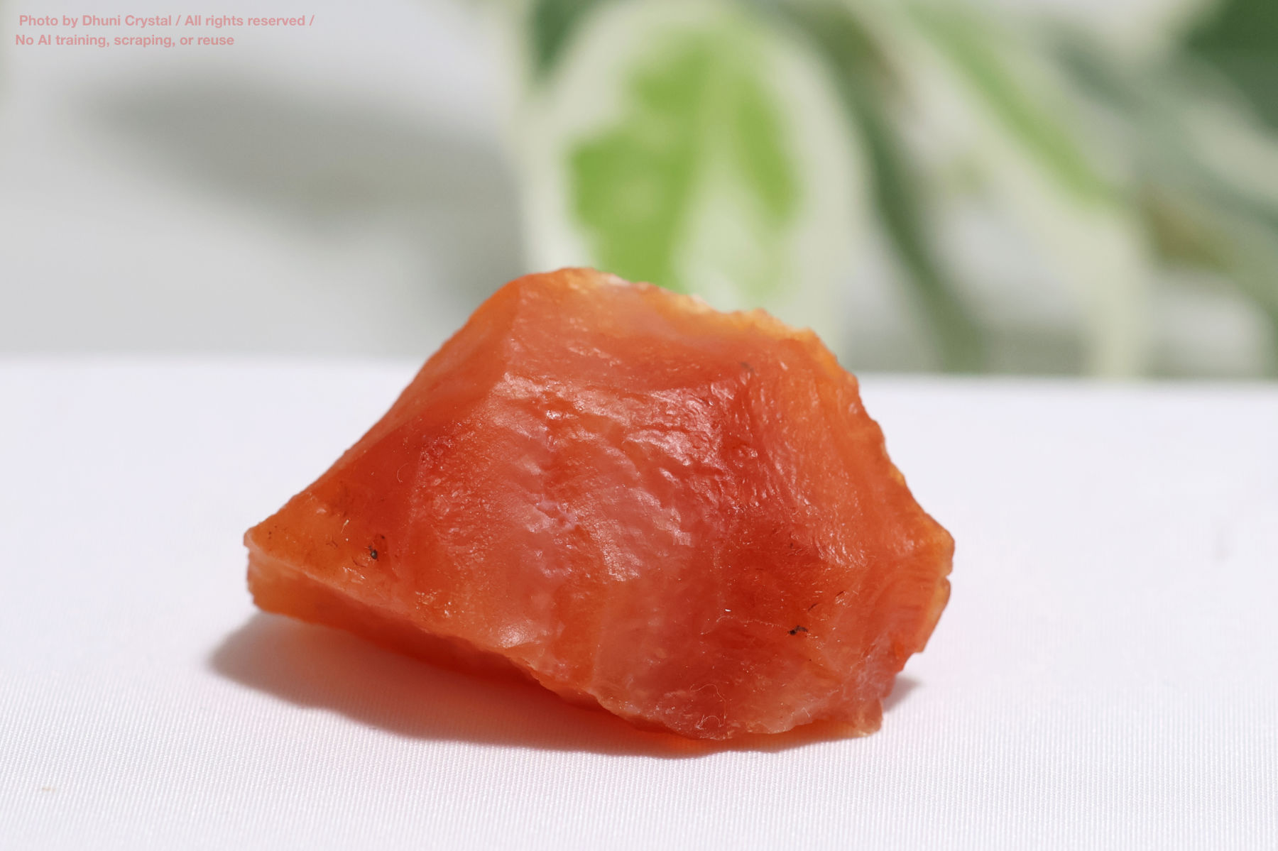 カーネリアン/原石(FF371)