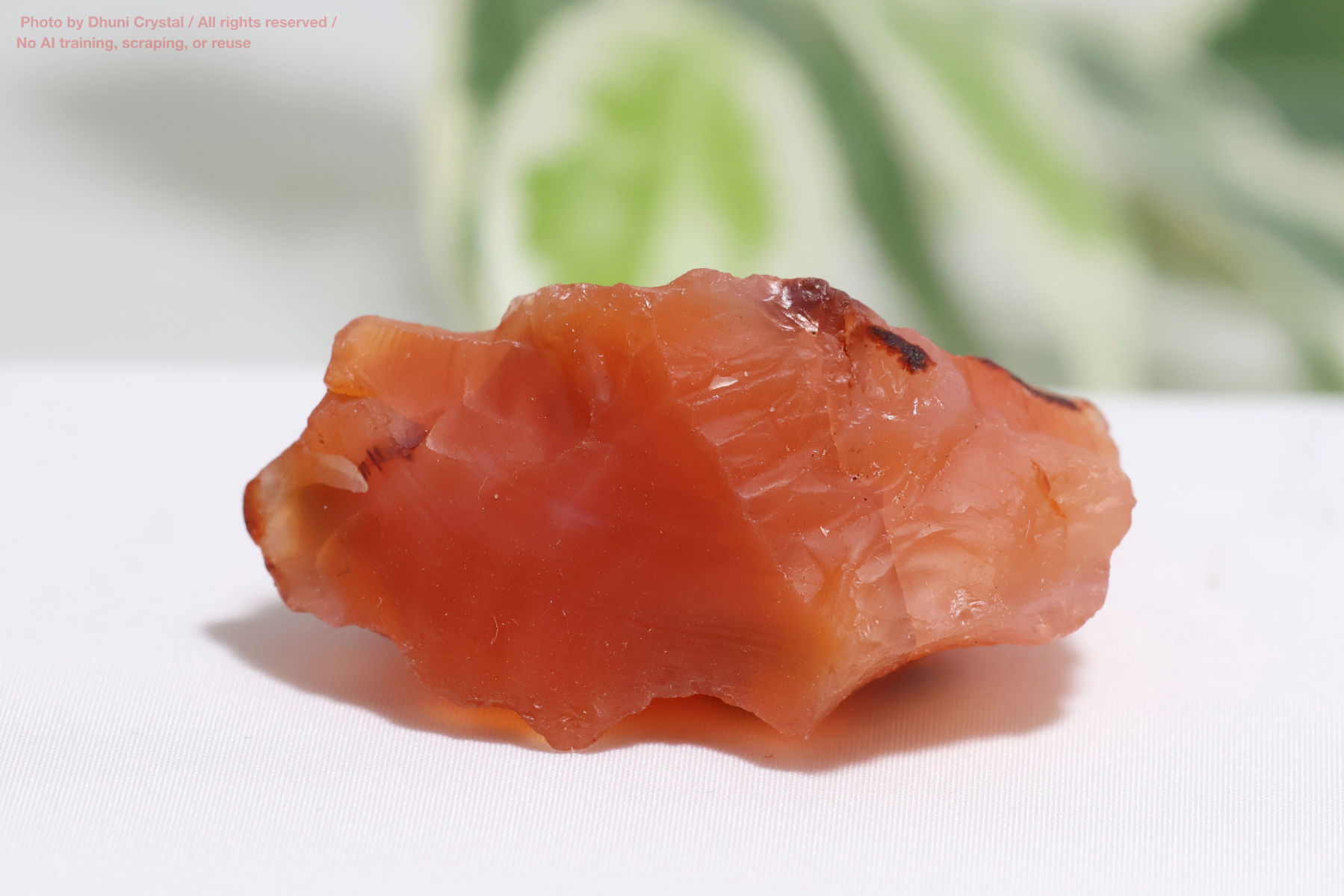 カーネリアン/原石(FF374)