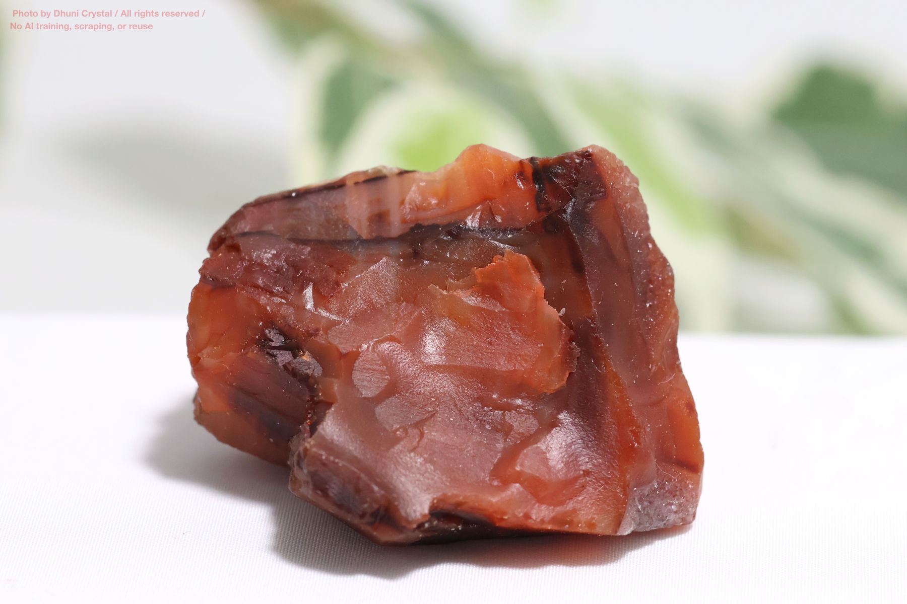 カーネリアン/原石(FF375)