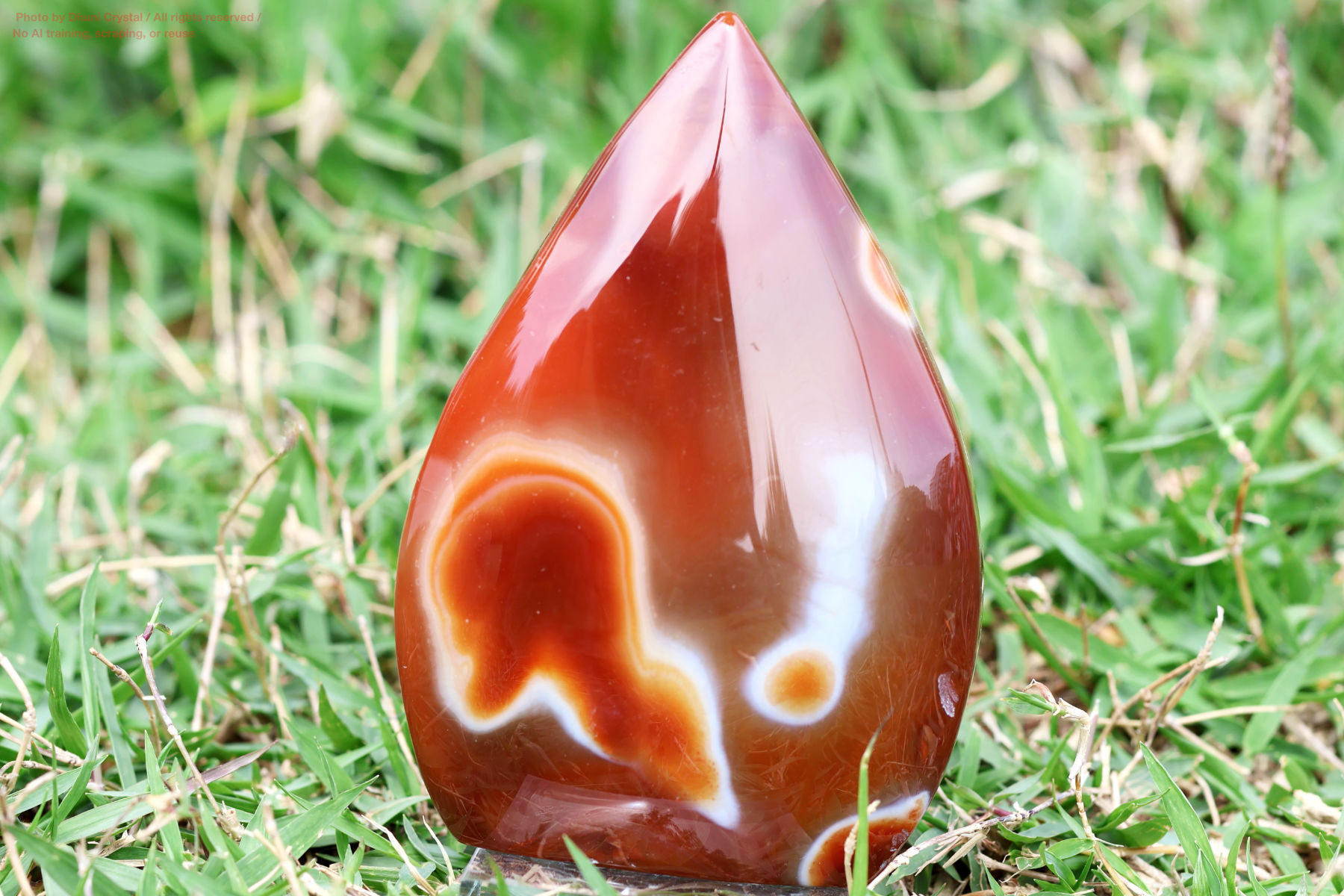 カーネリアン(FF377)