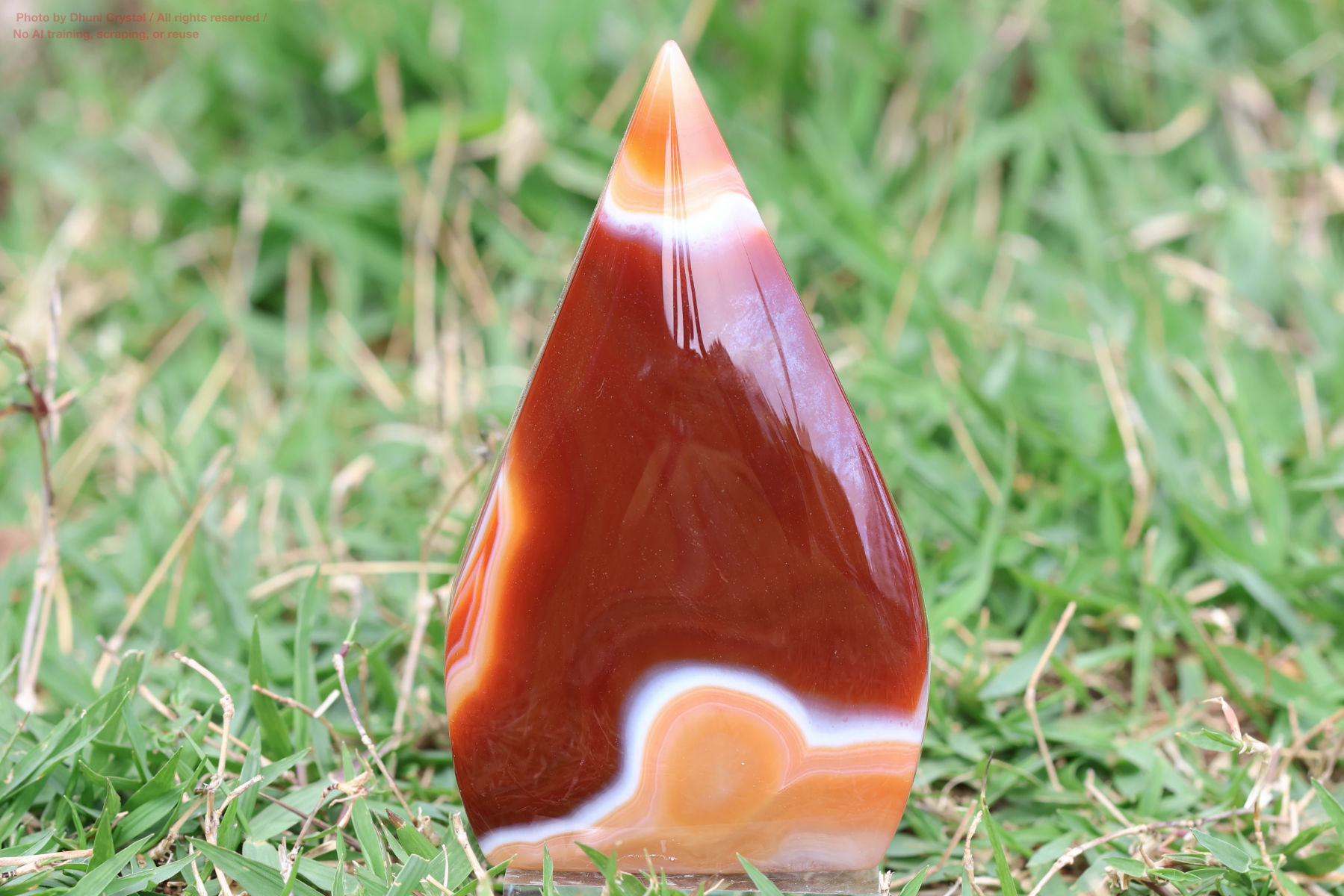 カーネリアン(FF378)