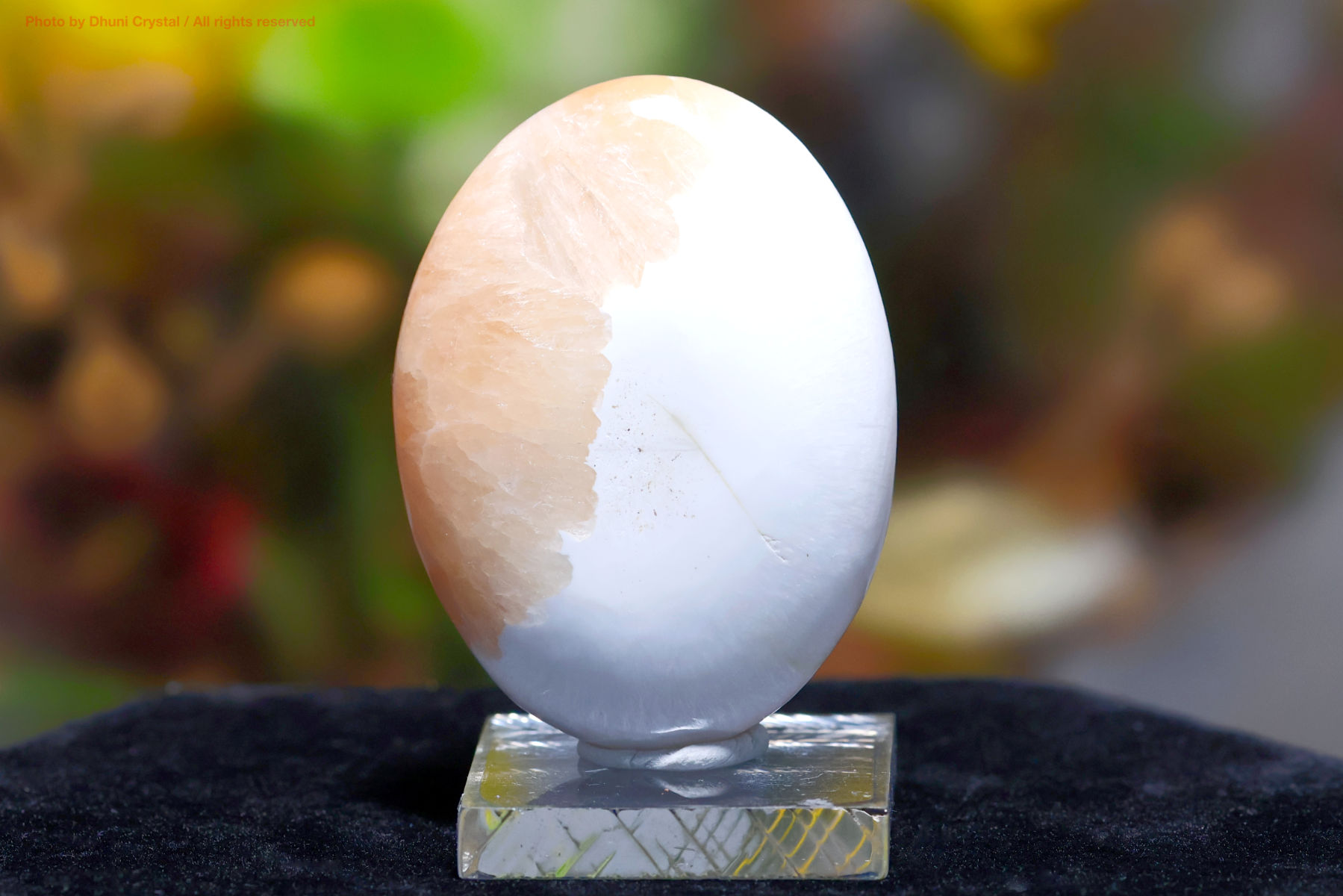 スコレサイト＆スティルバイト(FF57)