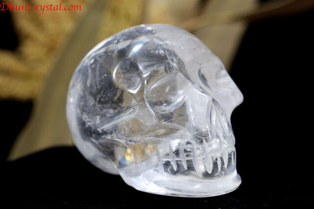 水晶　ゴールデンヒーラー　共生　ブラジル　虹　スタンド付き クリスタルスカル/ブラジル水晶/虹入り（V155）