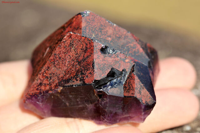 エイリアン・アメジスト(A10)