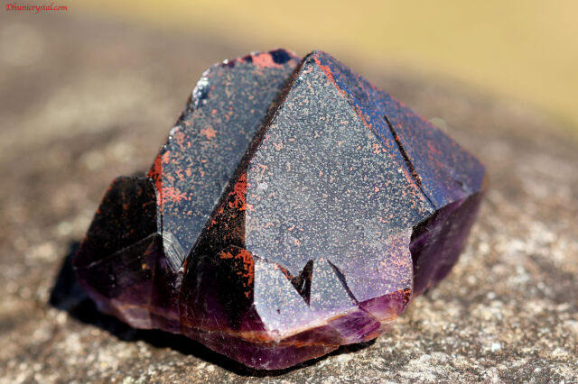 エイリアン・アメジスト(A10)