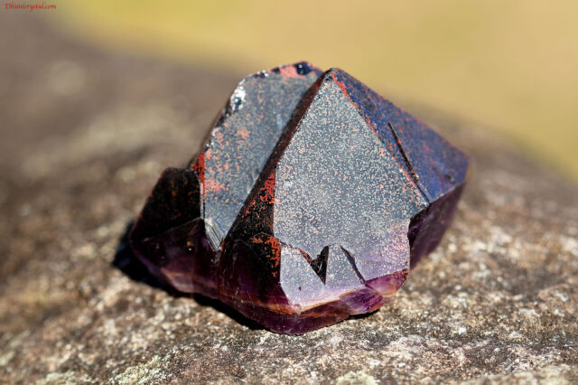 エイリアン・アメジスト(A10)