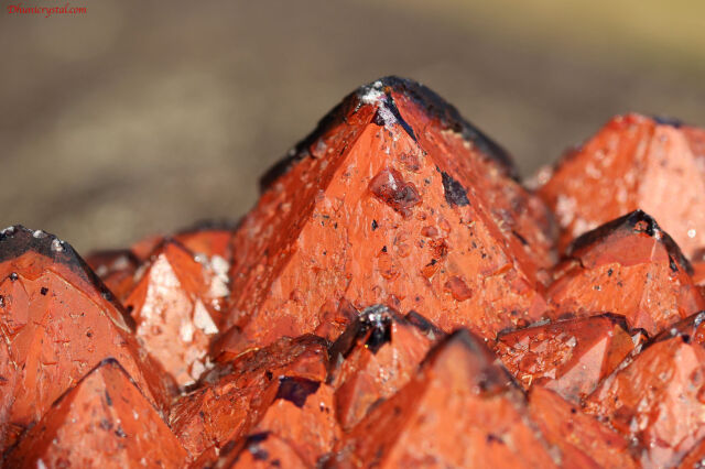 エイリアンアメジスト
