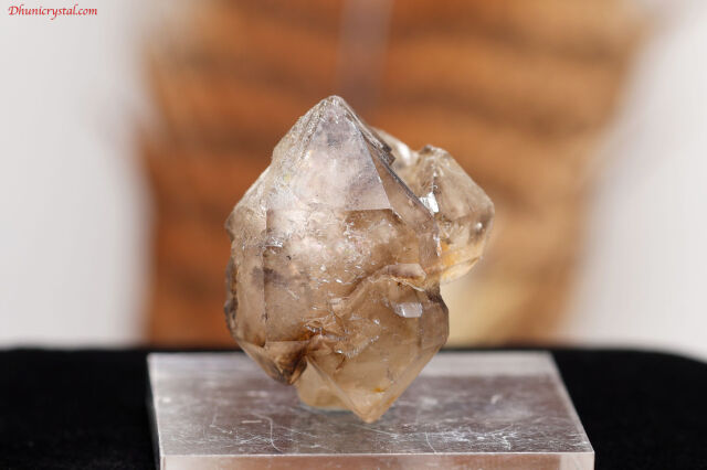 【SOLDOUT】スモーキー・エレスチャル/ジャカレー(A161)