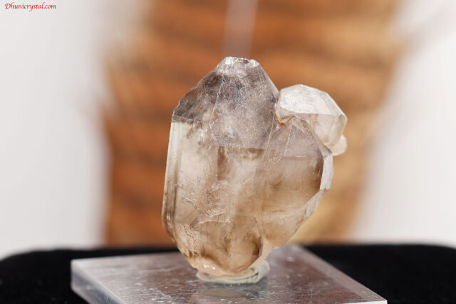 【SOLDOUT】スモーキー・エレスチャル/ジャカレー(A162)