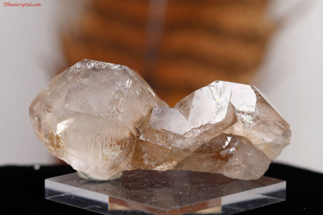 【SOLDOUT】スモーキー・エレスチャル/ジャカレー(A165)