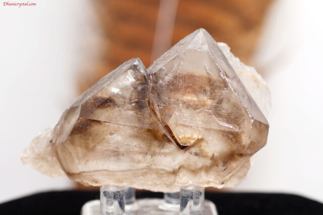 【SOLDOUT】スモーキー・エレスチャル/ジャカレー(A167)