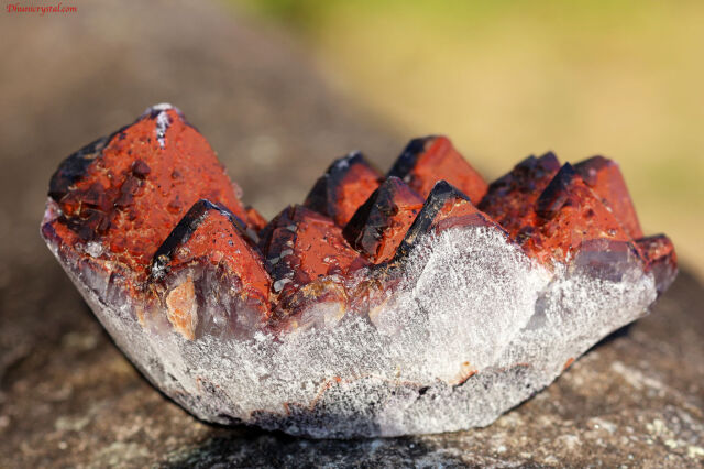 ALIENアメジスト(A20) 