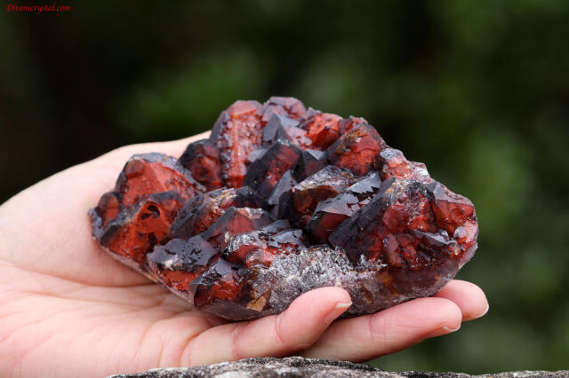 エイリアンアメジスト