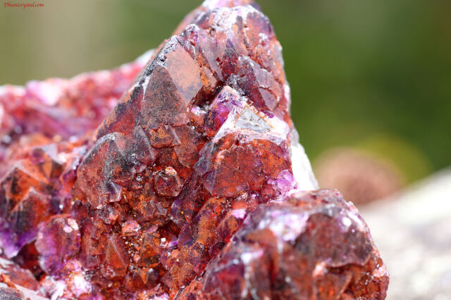 エイリアンアメジスト