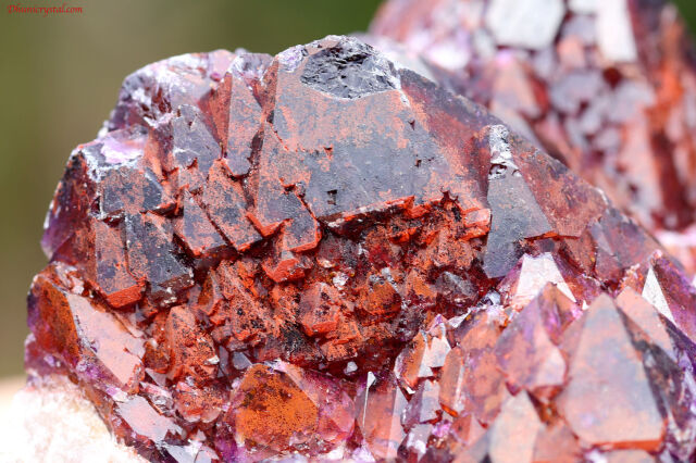 エイリアンアメジスト