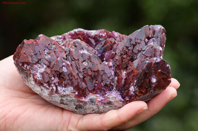 エイリアンアメジスト