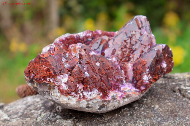 エイリアンアメジスト