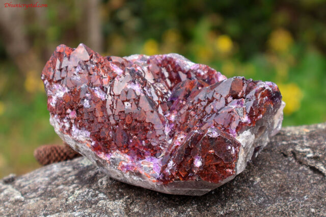 エイリアンアメジスト