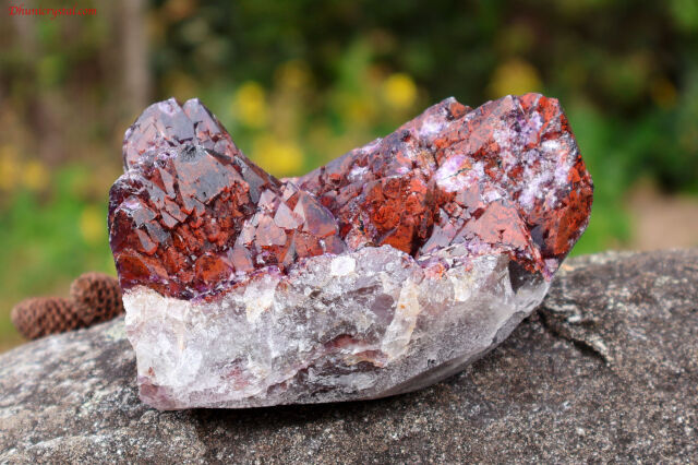 エイリアンアメジスト