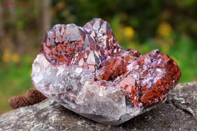 エイリアンアメジスト