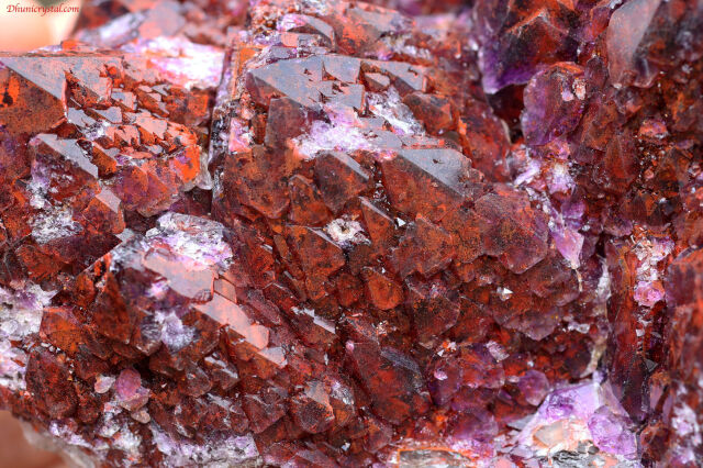 エイリアンアメジスト