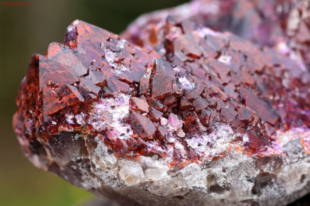 エイリアンアメジスト