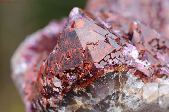 エイリアンアメジスト