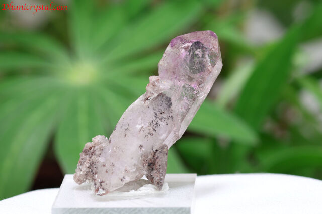 【SOLDOUT】シャンガン・エレスチャル/ジンバブエ産エレスチャル/希少(A319)