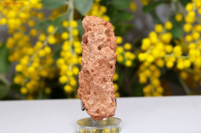 セドナ産のフルグライト/雷管石(A364)