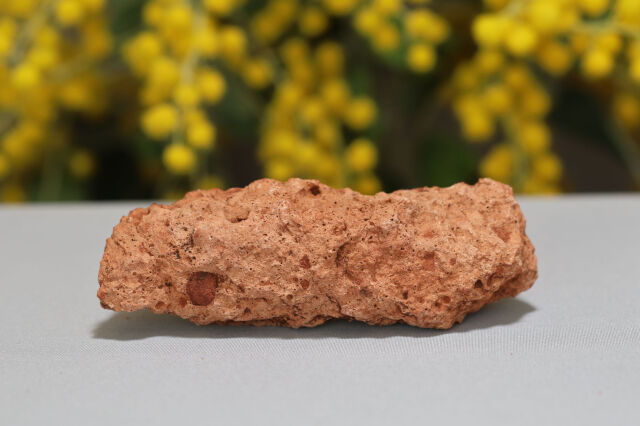 セドナ産のフルグライト/雷管石(A364)