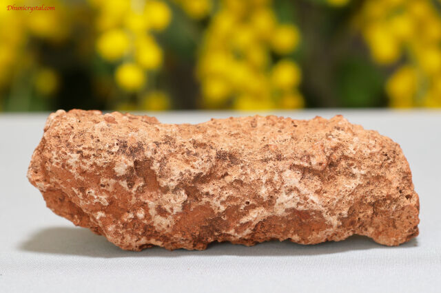 セドナ産のフルグライト/雷管石(A364)