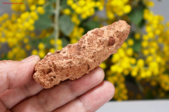 セドナ産のフルグライト/雷管石(A364)